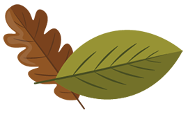 NUNCA DEJES DE CRECER 4.0 - CECAR